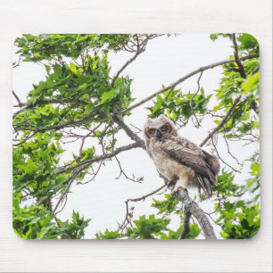 Tapis De Souris Jeune Hibou Sur Une Branche D'érable