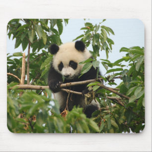 Tapis De Souris Jeune mousepad de panda géant