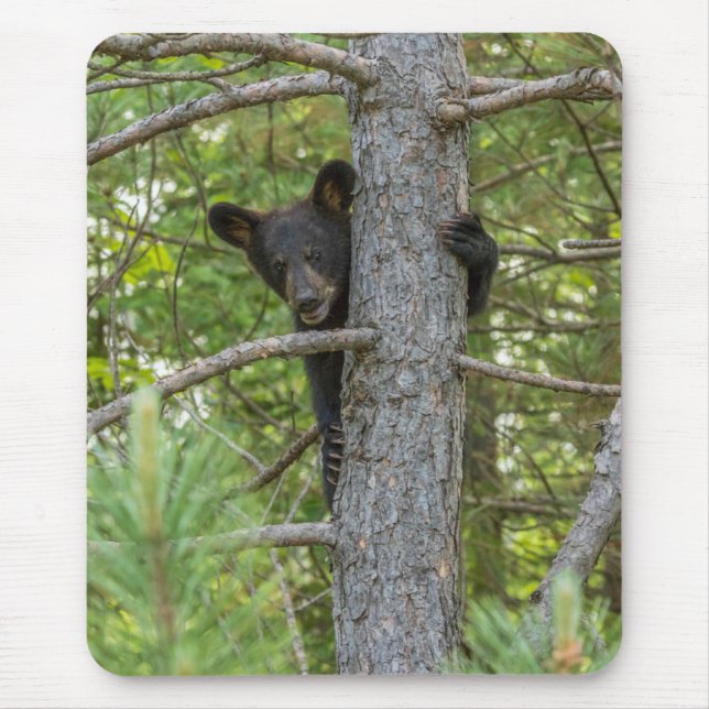 Tapis De Souris Jeune ours grimpant à un arbre (Devant)