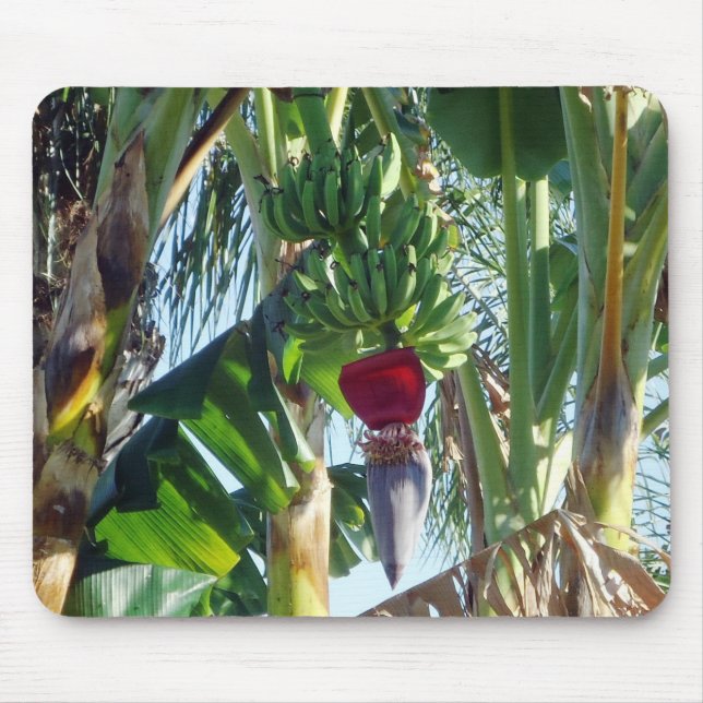 Tapis De Souris Jeunes bananes (Devant)