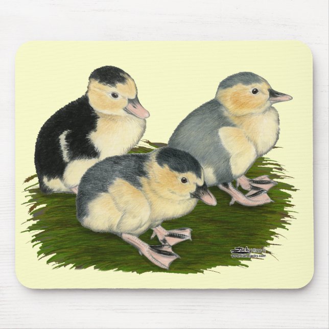 Tapis De Souris Jeunes canards Pie bleue (Devant)