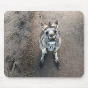 Tapis De Souris Joey Kangaroo