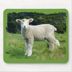 Tapis De Souris Joli agneau boueux bébé mouton dans la prairie