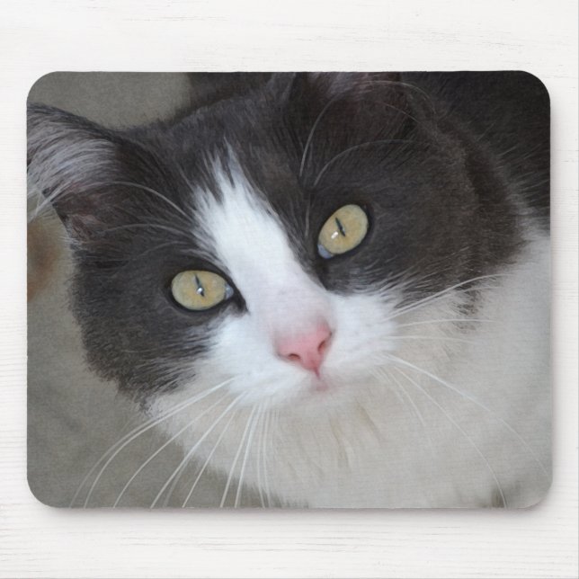 Tapis De Souris Joli chat gris et blanc (Devant)