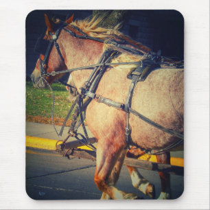 Tapis De Souris Joli cheval