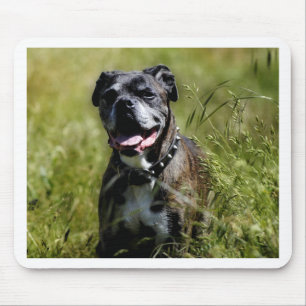 Tapis De Souris Joli chien dans l'herbe