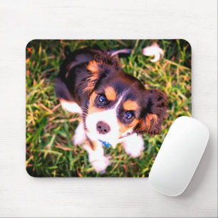 Tapis De Souris Joli chiot brun et blanc en colère