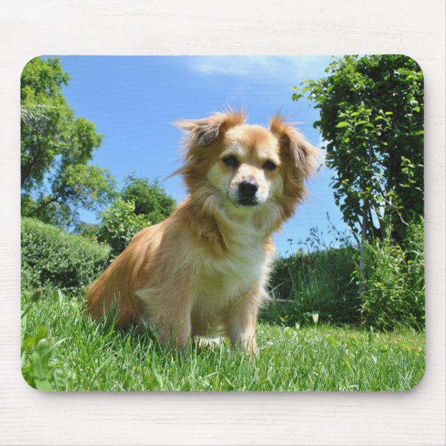 Tapis De Souris Joli chiot dans le jardin (Devant)