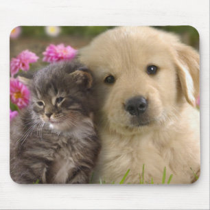 Tapis De Souris Joli chiot et chaton