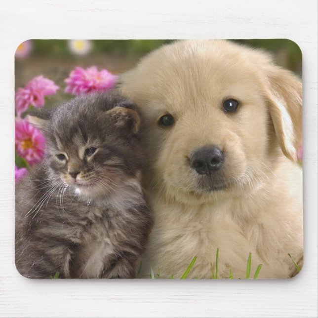 Tapis De Souris Joli chiot et chaton (Devant)
