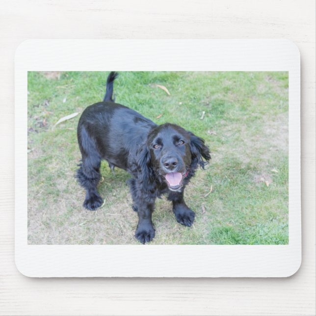 Tapis De Souris Joli chiot noir (Devant)
