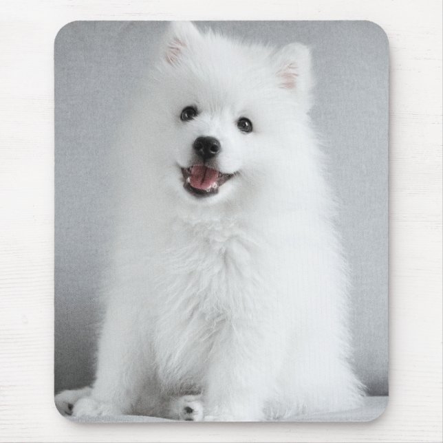 Tapis De Souris Joli chiot Spitz japonais tout mignon (Devant)