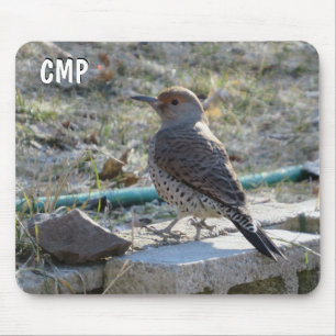 Tapis De Souris Joli Flicker Bird