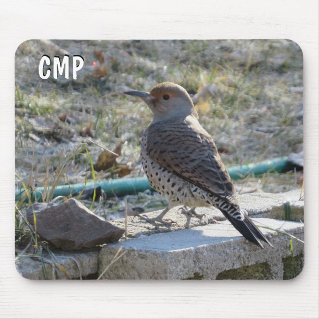 Tapis De Souris Joli Flicker Bird (Devant)