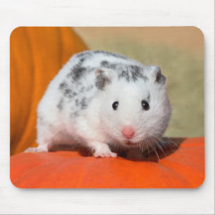 Tapis De Souris Joli Hamster syrien blanc noir tacheté drôle anima