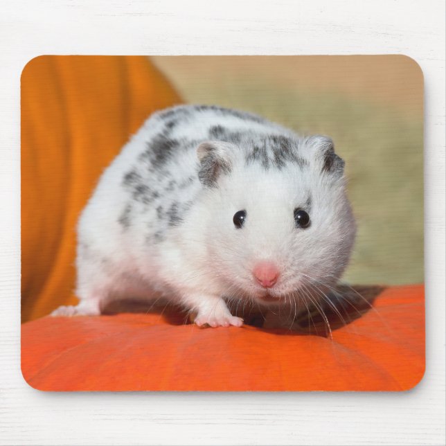 Tapis De Souris Joli Hamster syrien blanc noir tacheté drôle anima (Devant)