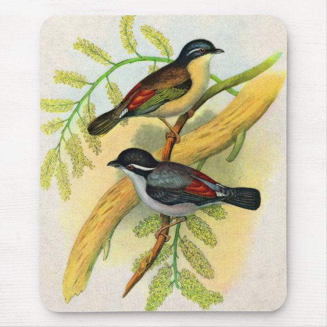Tapis De Souris joli imprimé d'oiseaux (Devant)