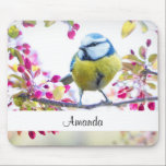 Tapis De Souris Joli oiseau bleu et jaune sur une branche Photogra<br><div class="desc">Un tapis de souris avec une photo extraordinaire du plus mignon petit oiseau perché sur une branche recouverte de fleurs roses et de feuilles verts. L'oiseau a une tête bleue et un corps jaune avec un visage très doux. Adorable.</div>