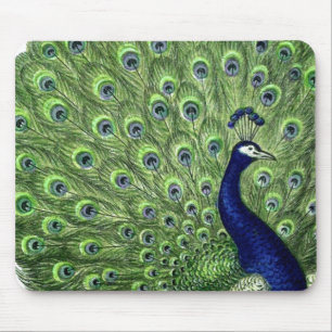 Tapis De Souris Joli Peacock