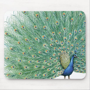 Tapis De Souris Joli Peacock