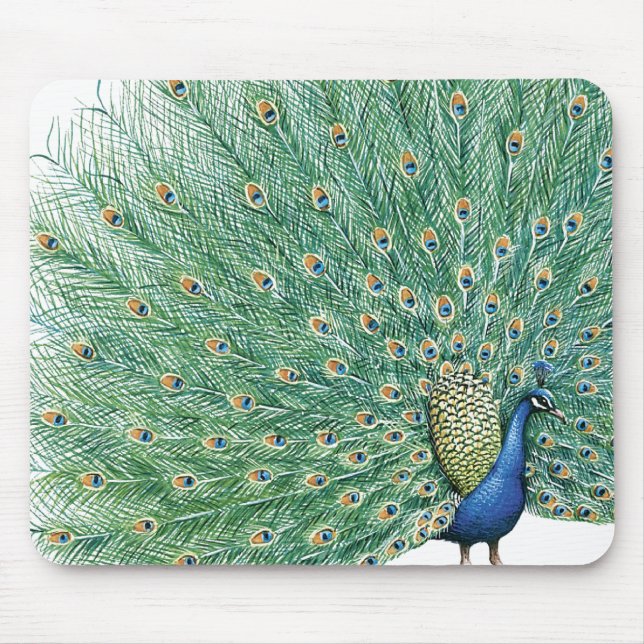 Tapis De Souris Joli Peacock (Devant)