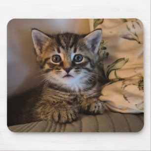 Tapis De Souris Joli petit chat