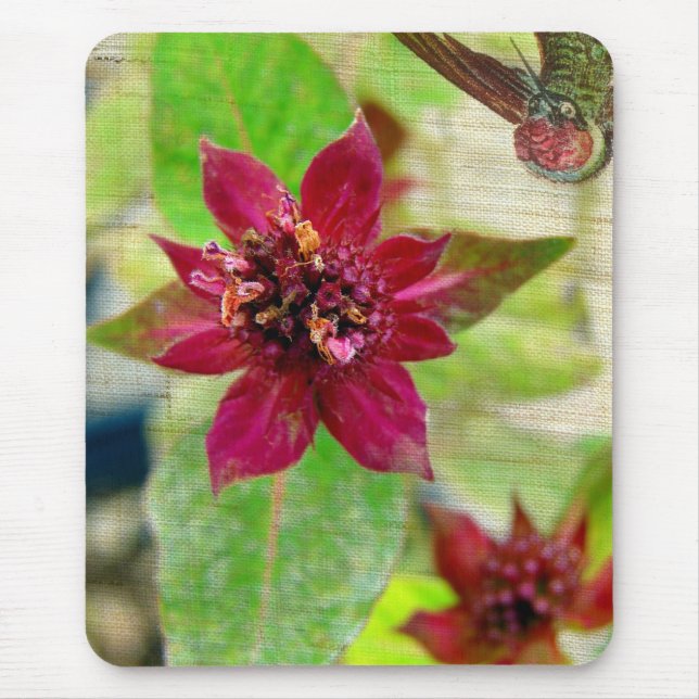 Tapis De Souris Joli Plante 2 (Devant)