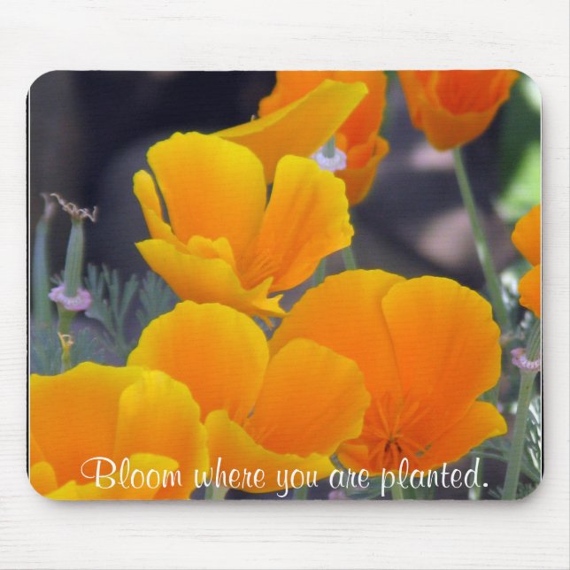 Tapis De Souris Joli Poppies de Californie avec citation (Devant)