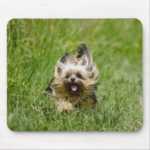 Tapis De Souris Joli Yorkshire Terrier courant dans l'herbe