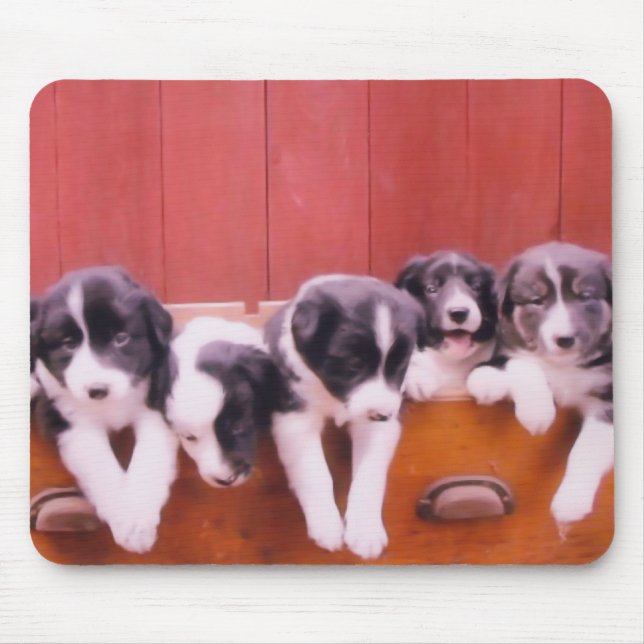 Tapis De Souris Jolie Bordure Collie Puppies (Devant)