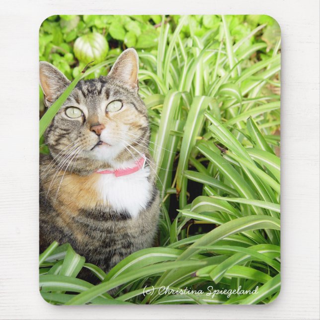 Tapis De Souris Jolie Calico Cat Mousepad (Devant)