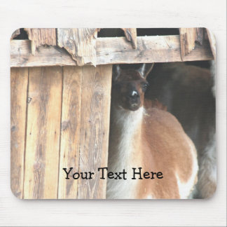 Tapis De Souris Jolie ferme de lama Mousepad