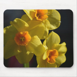 Tapis De Souris Jolie fleur de jonquille jaune de couleur vive