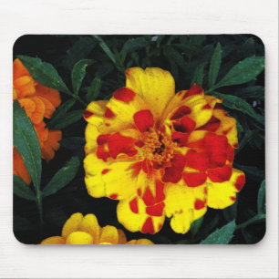 Tapis De Souris Jolie Fleurs de Marigold rouge et jaune