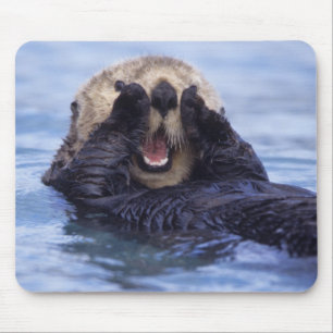 Tapis De Souris Jolie loutre de mer Alaska, États-Unis