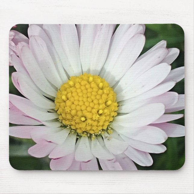 Tapis De Souris Jolie marguerite (Devant)