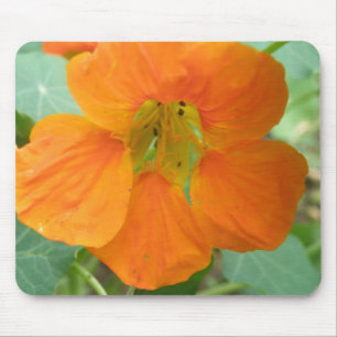 Tapis De Souris Jolie Orange Nasturtium Flower Mousepad