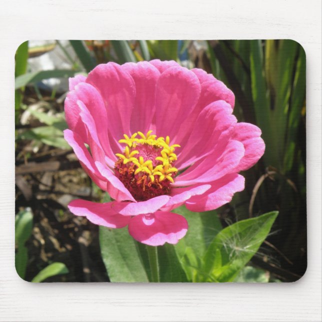 Tapis De Souris Jolie rose Zinnia Mousepad (Devant)