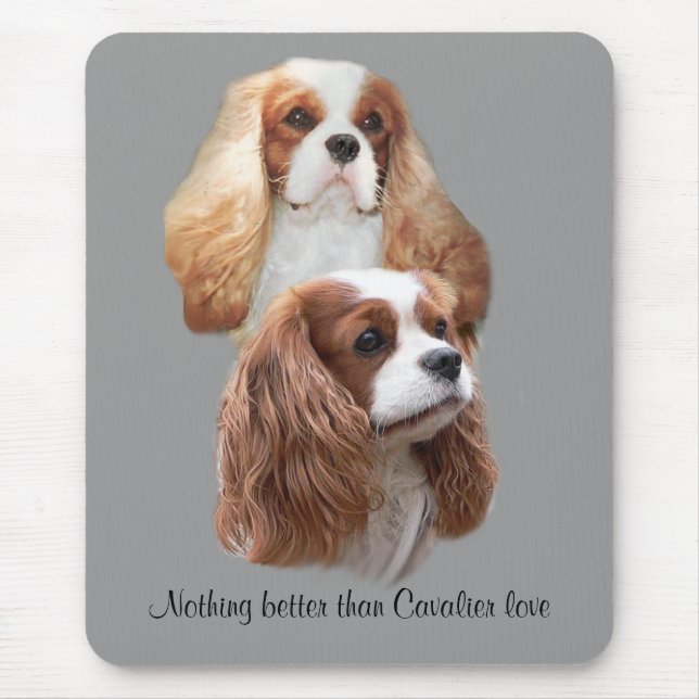 Tapis De Souris Jolies filles cavalières Mousepad (Devant)