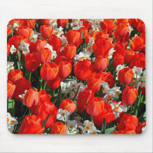 Tapis De Souris Jolies tulipes et jonquilles