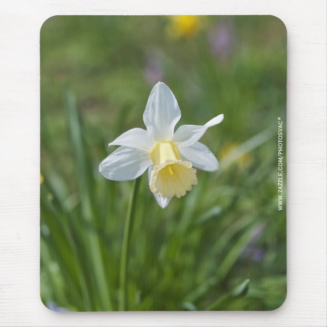 Tapis De Souris Jonquille (Devant)