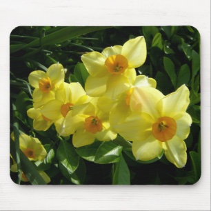 Tapis De Souris Jonquils/jonquilles/narcisse