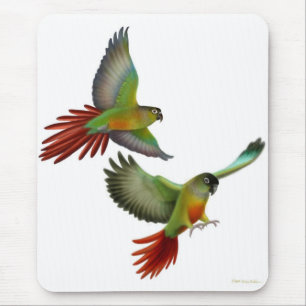 Tapis De Souris Joue verte Conures Mousepad