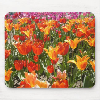 Tapis De Souris Jour splendide