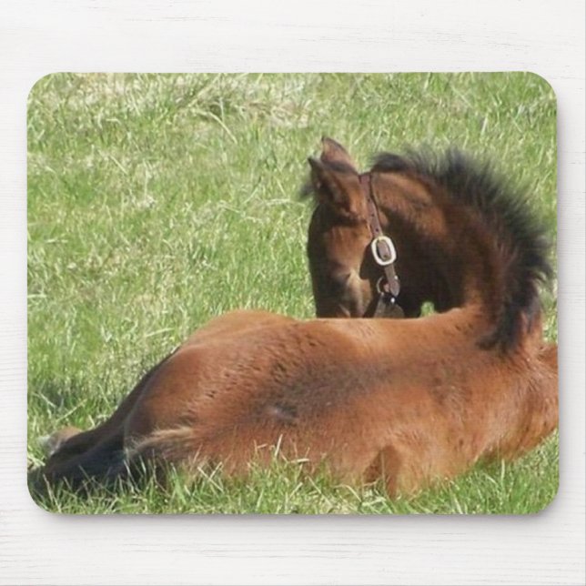 Tapis De Souris Jours paresseux (Devant)