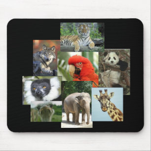 Tapis De Souris Joyaux de la jungle Mousepad