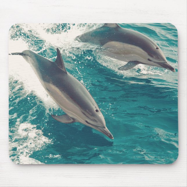 Tapis De Souris Joyeux dauphins (Devant)