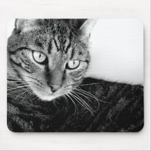 Tapis De Souris Jude