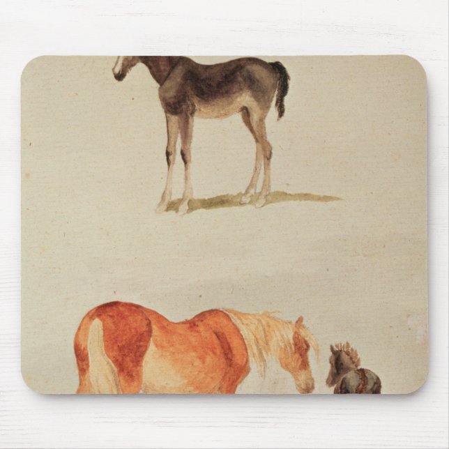 Tapis De Souris Juments et poulains (Devant)