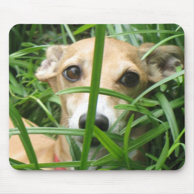 Tapis De Souris Jungle Iggy (Devant)